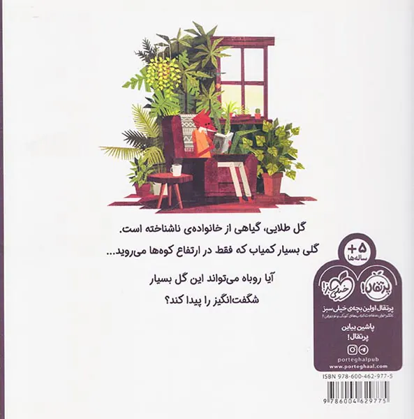 گلی به رنگ خورشید